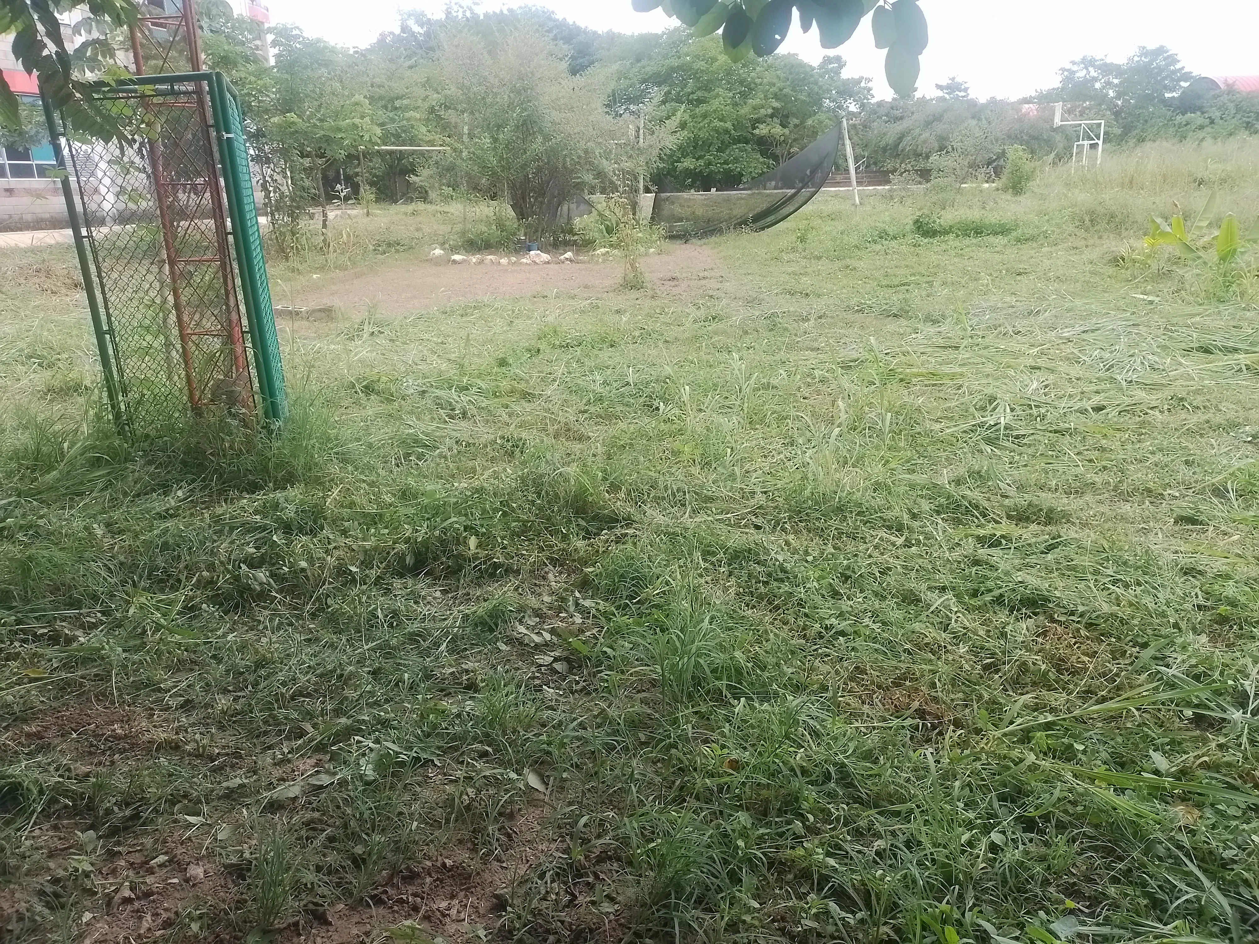 Espacios limpios para aprender — foto 5